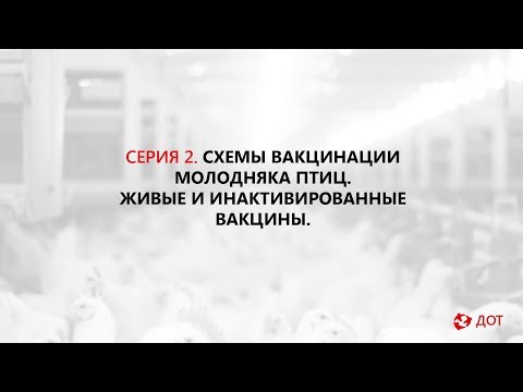 Видео: Джавадов Э.Д.: Схемы вакцинации молодняка птиц. Живые и инактивированные вакцины.