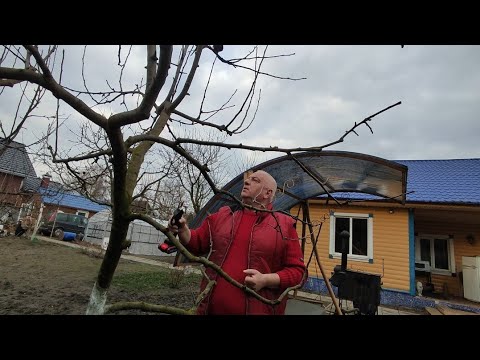 Видео: Когда начинается весна в деревеньке у озера???