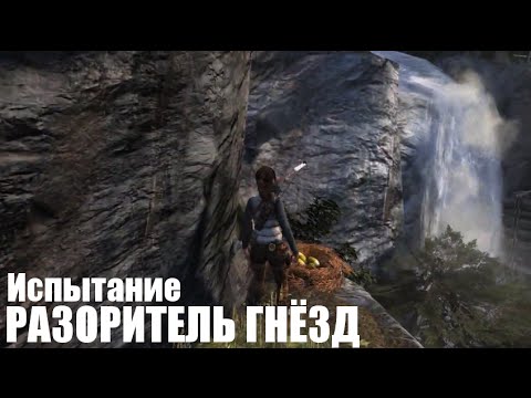 Видео: Испытание: Разоритель гнезд [Горная деревня] / Tomb Raider 2013