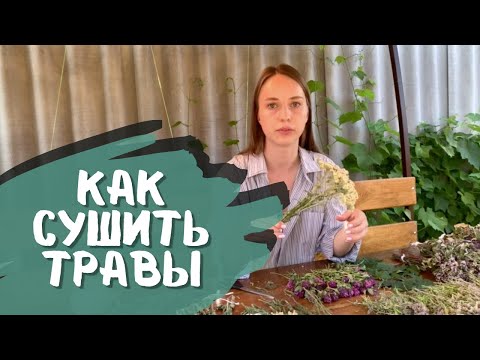 Видео: Как сушить и хранить травы для чая