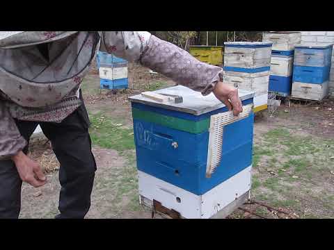 Видео: Варианты изоляторов и принципы размещения в ульях. 30.10.2020 г.