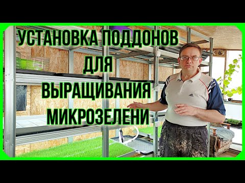 Видео: Установка поддонов для выращивания микрозелени на автополиве