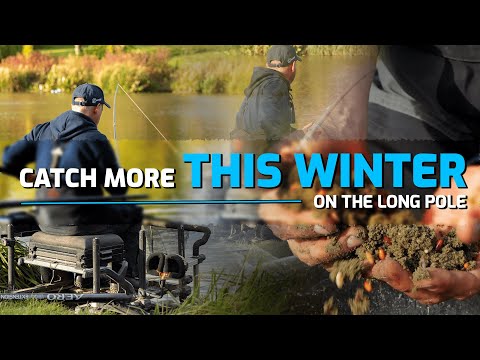 Видео: Больше ловли этой зимой на удочку | Мастер-класс Пола Холланда по ловле на удочку в холодной воде