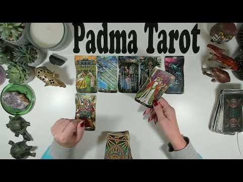 Видео: ДЕВА♍️ЭТО ОБЩЕНИЕ МЕНЯЕТ ВСЁ! 3-9 НОЯБРЯ Еженедельное гадание на картах Таро 🔮💫