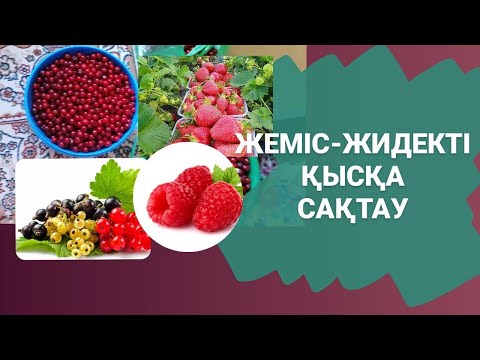 Видео: Жеміс-жидекті қысқа сақтау