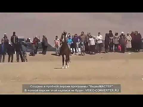 Видео: Начын Санчат