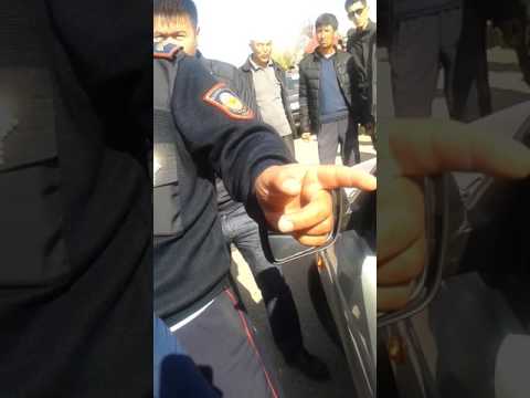 Видео: Сарыагаш гай беспредел