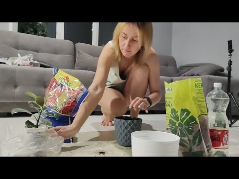 Видео: генеральная уборка часть 2