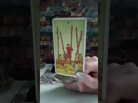 Видео: ДЕВА♍НЕ ЗНАЕТ, КАК РАССКАЖИ ТЕБЕ ПРАВДУ, ОТПУСТИВ БЫВШЕГО, БОИТСЯ УСЛЫШАТЬ ОТ ТЕБЯ: «Я ЖЕ ГОВОРИЛ!»