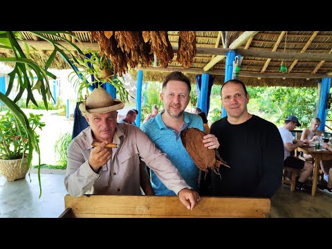 Видео: Кубински пури! Златото на Куба. Част IV