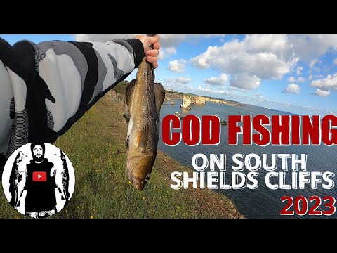 Видео: Ловля трески на скалах Саут-Шилдс