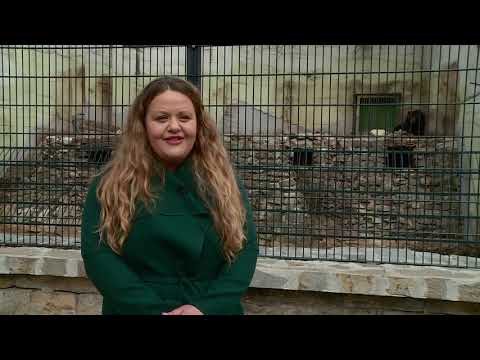 Видео: " 10 000 крачки" Зоопаркът в Стара Загора - 4.4.2024