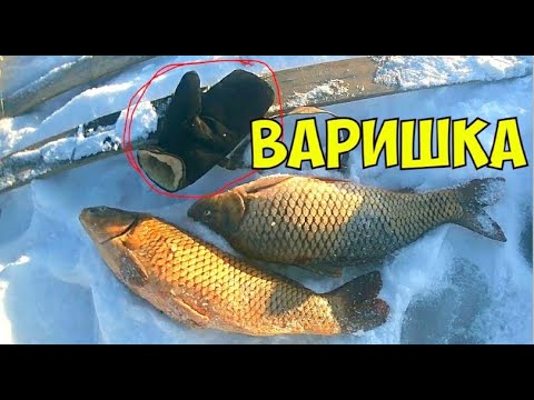 Видео: Зимняя рыбалка на Карпа .  Сезон 2024 -2025 г.   Февраль.