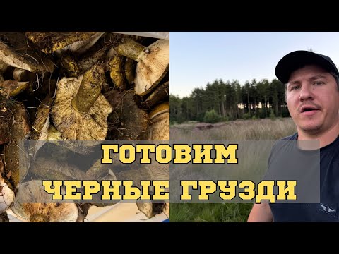 Видео: ЛУЧШИЙ СПОСОБ ЗАСОЛКИ ЧЕРНЫХ ГРУЗДЕЙ