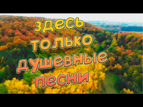 Видео: Заходи и Слушай! Здесь самые Лучшие песни!