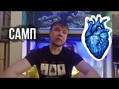 Видео: #4 САМП/УСТРОЙСТВО МОЕГО САМПА/МОРСКОЙ АКВАРИУМ
