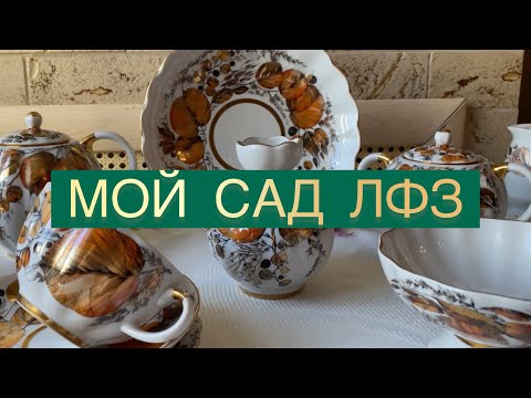 Видео: ПРИШЛА ОСЕНЬ 🍂 ЛФЗ «МОЙ САД « ЗОЛОТАЯ ОСЕНЬ СОВЕТСКОГО ПЕРИОДА 🍂🍁🐿 ФАРФОР СССР С ЦЕНАМИ КОНКУРС