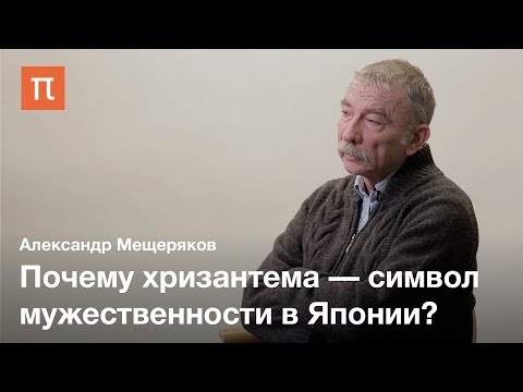 Видео: Роль хризантемы в японской культуре — Александр Мещеряков