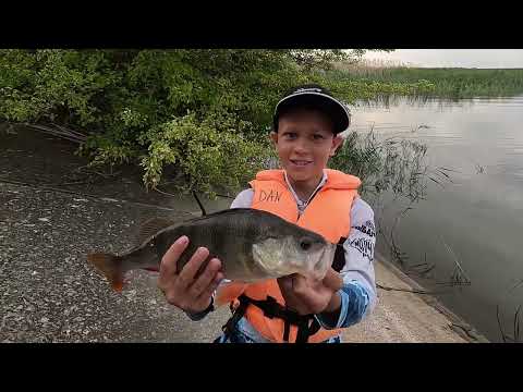 Видео: Рыбалка на Дону. База Пятиизбяка.