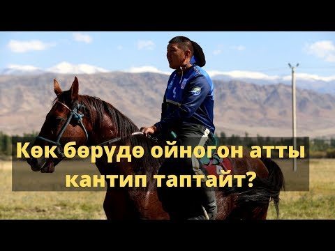 Видео: Көк бөрүдө ойногон атты кантип таптайт? / АРГЫМАК