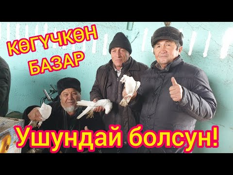 Видео: КАПТАР БАЗАР КАЙСЫ ЖЕРДЕ ЭКЕН?
