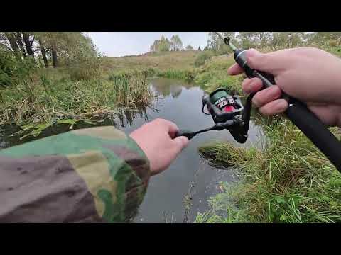Видео: Осенняя  рыбалка на щуку! Облов лучших мест на Каширке и мой провал 🎣 ловим без поводков!!!Lucky?