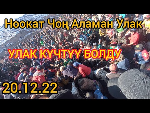 Видео: НООКАТ ЧОҢ АЛАМАН УЛАК 20.12.22  Күчтүү Улак болуп жатат Кыргызстан👍👍😊