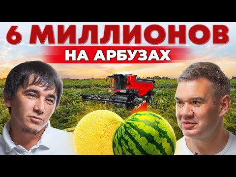 Видео: Секреты выращивания арбузов и дынь. Как заработать на бахчевых. Засуха и убытки | Андрей Даниленко