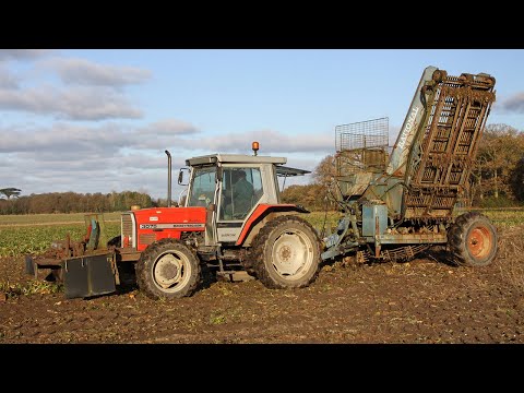 Видео: Современная классическая уборка свёклы: Massey Ferguson 3075 и Rational Nova Hydro 2 для уборки к...