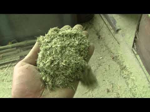 Видео: заготовка травяной муки. сенорезка 7,5квт