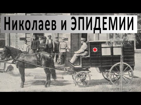 Видео: Николаев и эпидемии. "Добрий вечір" 06.04.2020