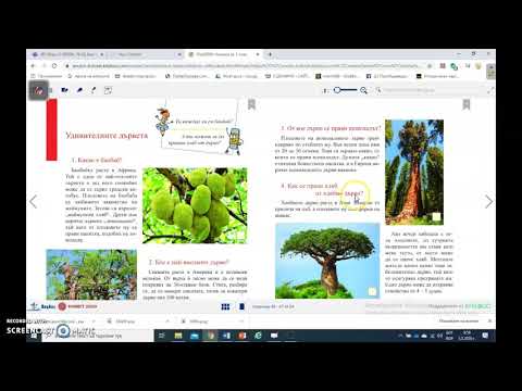 Видео: Удивителните дървета Извънкласно четене