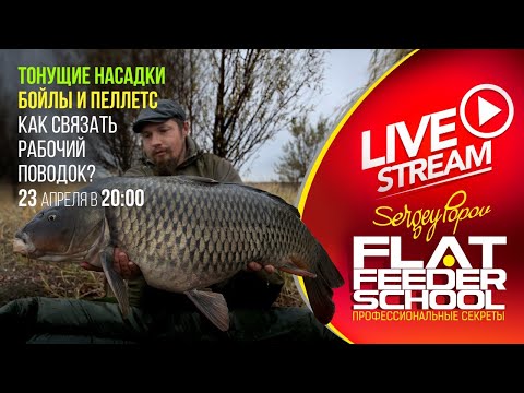Видео: Тонущие бойлы и пеллетс / Как связать поводок? / #10 Лекция / FLAT FEEDER SCHOOL