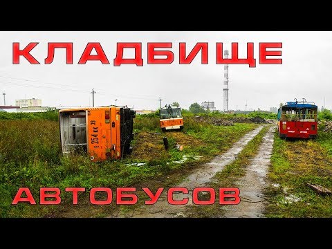 Видео: Кладбище автобусов.  Последний автобус Кёнигсберга.  #78