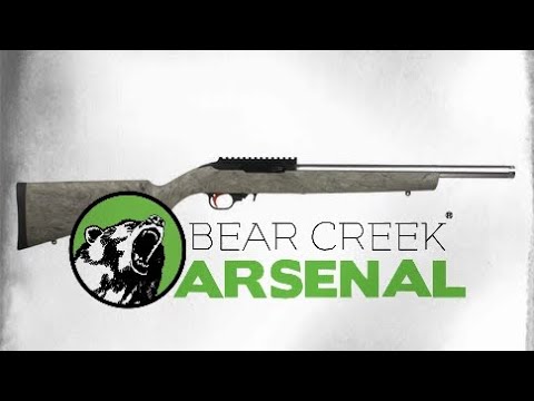 Видео: Малобойная винтовка BC-201 | Арсенал Bear Creek