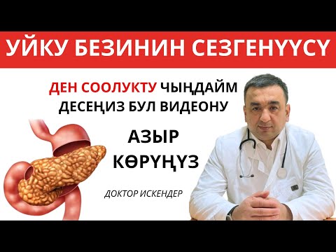 Видео: ПАНКРЕАТИТ – БУЛ УЙКУ БЕЗИНИН СЕЗГЕНҮҮСҮ / ДЕН-СООЛУГУҢУЗ ҮЧҮН БУЛ ВИДЕОНУ АЗЫР КӨРҮҢҮЗ