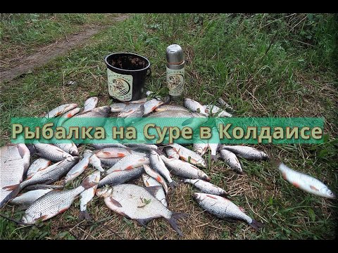 Видео: Ловля леща в мае-Рыбалка на Суре в Колдаисе