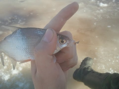 Видео: Безмотыльная мормышка хит сезона 2013-2014