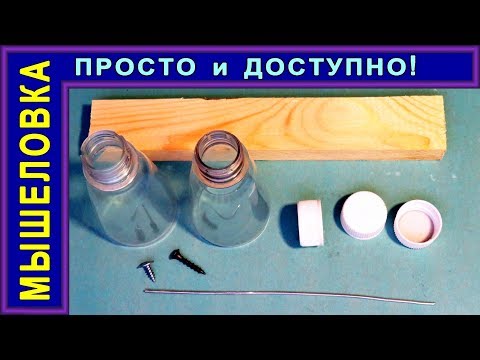 Видео: САМОДЕЛКА ИЗ БУТЫЛОК. МЫШЕЛОВКА - ПРОСТО, БЫСТРО, ДОСТУПНО!