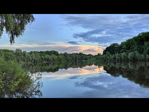 Видео: Сейм Десна 21 3