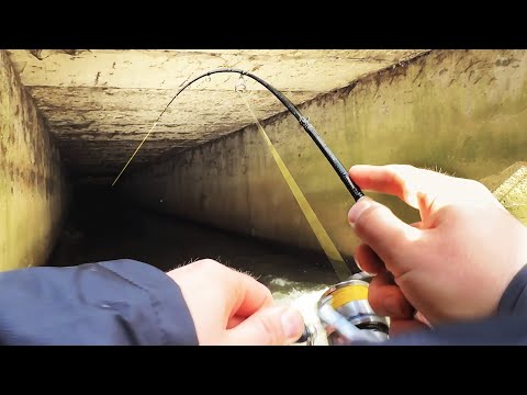 Видео: ТУНЕЛ В СОФИЯ ПЪЛЕН С РИБА 😮 УБИХ ГИ С ВОБЛЕР ЗА 12 ЛЕВА!!!