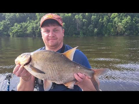 Видео: РЫБАЛКА С НОЧЕВКОЙ.лещ.сом.судак. река ВОЛГА.