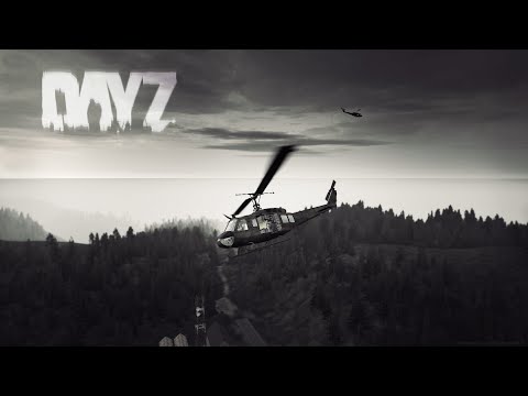 Видео: Dayz (PVE БОТЫ)