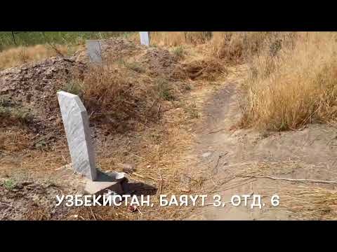 Видео: Узбекистан, Баяут 3, отд.6. Поход на кладбище. 2023г.