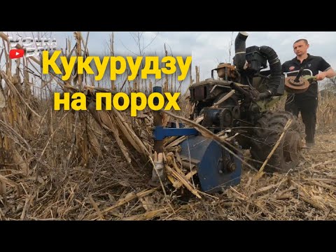 Видео: Мульчер до мотоблока по кукурудзі! 0.5га/годину