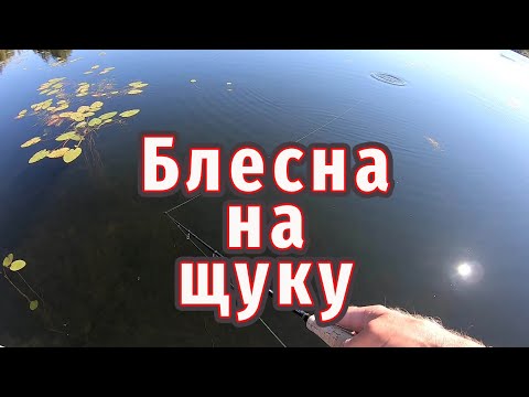 Видео: Как поймать Щуку на Блесну! Техника ловли. Виды блесен!
