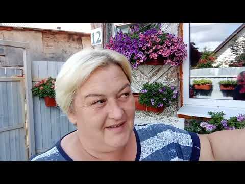 Видео: 😱От добра ,добра не ждите.😱Предательский поступок.😡