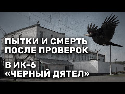 Видео: Пытки, издевательства и смерть после проверок в ИК-6