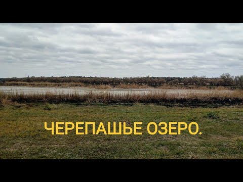 Видео: НАХОДКИ ВОЗЛЕ ЧЕРЕПАШЬЕГО ОЗЕРА.