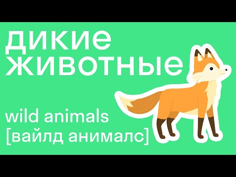 Видео: Дикие животные на английском языке, учим вместе! Легко со skysmart!